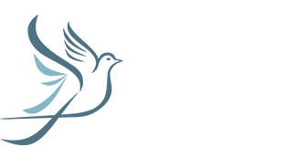 DeVine Interventions logo