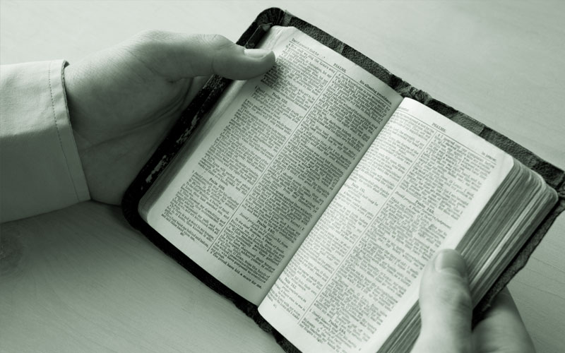 hands holding bible